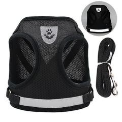 Reflective Pet Harness and Leash Set for Outdoor Walking