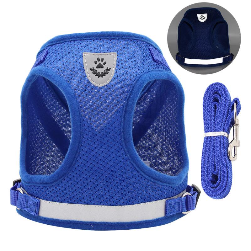 Reflective Pet Harness and Leash Set for Outdoor Walking