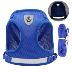 Reflective Pet Harness and Leash Set for Outdoor Walking