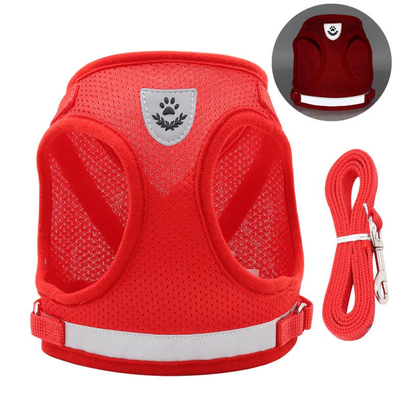 Reflective Pet Harness and Leash Set for Outdoor Walking