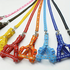 Stylish Printed Pet Harness with Leash for Outdoor Walking