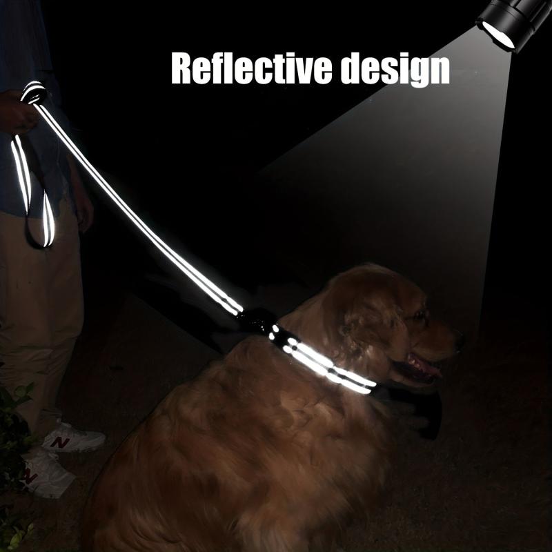 Taglory Reflective Dog Leash for Medium and Small Dogs