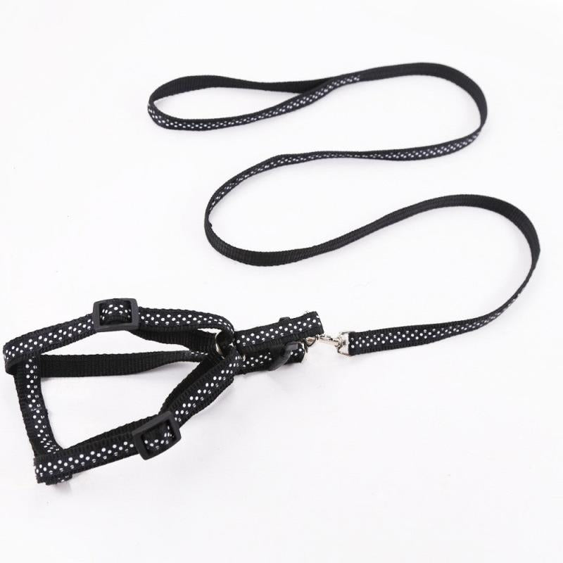 Adjustable Pet Harness and Leash Kit - Secure Dog Walking Harness