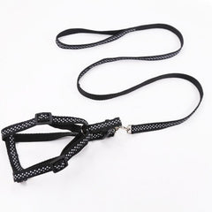 Adjustable Pet Harness and Leash Kit - Secure Dog Walking Harness