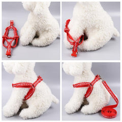 Adjustable Pet Harness and Leash Kit - Secure Dog Walking Harness
