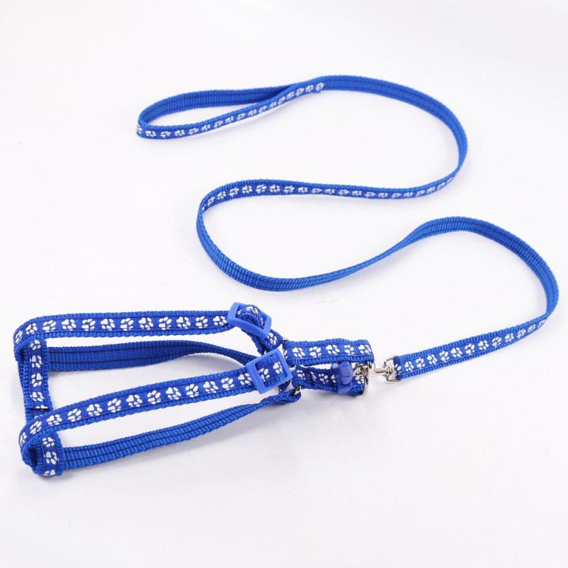 Adjustable Pet Harness and Leash Kit - Secure Dog Walking Harness