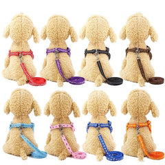 Adjustable Pet Harness and Leash Kit - Secure Dog Walking Harness