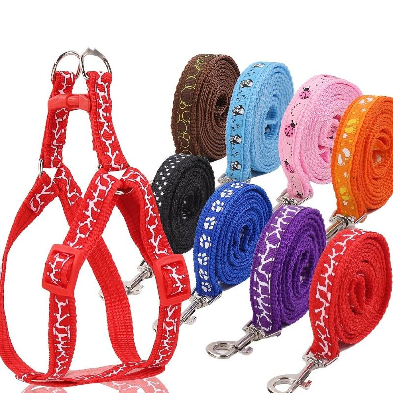 Adjustable Pet Harness and Leash Kit - Secure Dog Walking Harness
