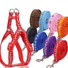 Adjustable Pet Harness and Leash Kit - Secure Dog Walking Harness