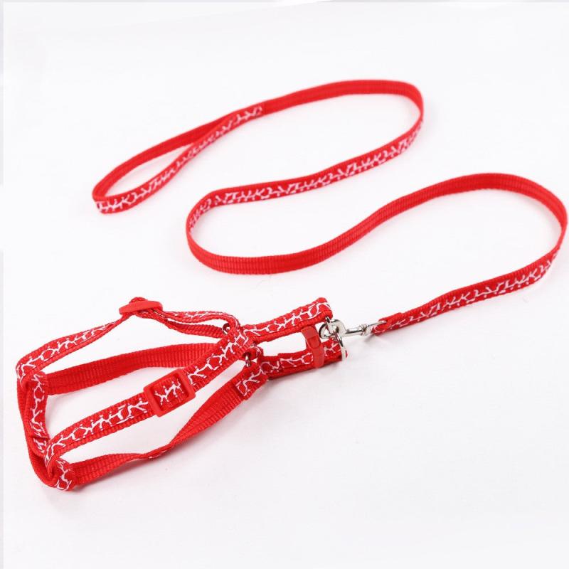 Adjustable Pet Harness and Leash Kit - Secure Dog Walking Harness