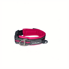Neoprene Padded Dog Collar - Adjustable & Comfortable