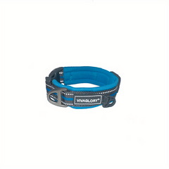 Neoprene Padded Dog Collar - Adjustable & Comfortable