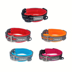 Neoprene Padded Dog Collar - Adjustable & Comfortable