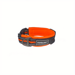 Neoprene Padded Dog Collar - Adjustable & Comfortable
