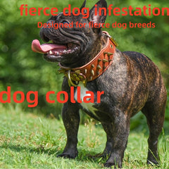Punk Style Rivet Leather Dog Collar