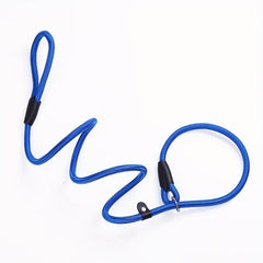 Heavy Duty P-Shaped Chain Dog Leash for Strong Control