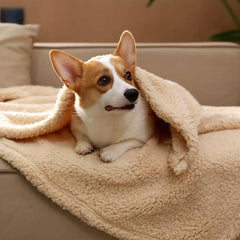 Soft Plush Blanket for Dogs and Cats - Warm Mat for Sleeping, Playing, Snuggling