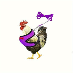 Comfortable Chicken Harness & Leash for Training Ducks, Chickens, Geese