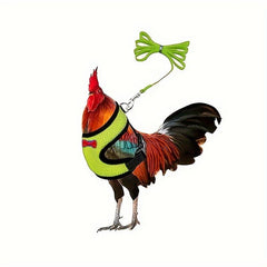 Comfortable Chicken Harness & Leash for Training Ducks, Chickens, Geese