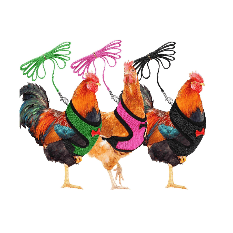 Comfortable Chicken Harness & Leash for Training Ducks, Chickens, Geese
