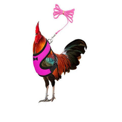 Comfortable Chicken Harness & Leash for Training Ducks, Chickens, Geese