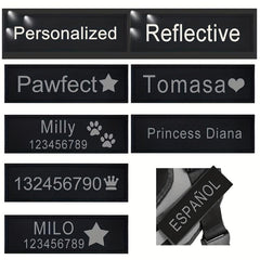 Customizable Reflective Letter Dog Harness Leather Label