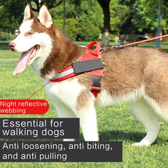 Explosion Proof Dog Harness for Safety and Security