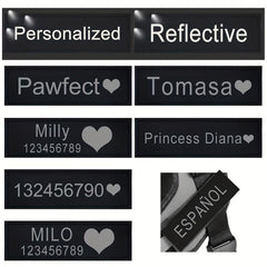 Personalized Reflective Letter Dog Harness Label