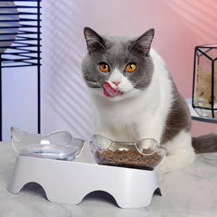 Raised Pet Double Food Bowls Non slip Ceramic Cat Dishes Bowl Dog Food Bowl