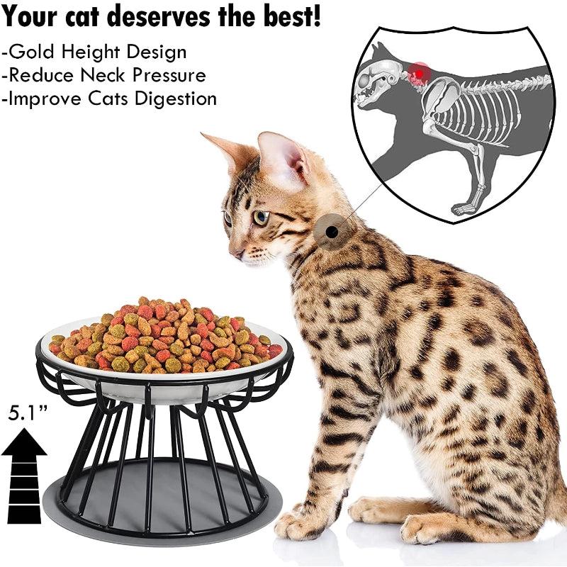 Double Ceramic Pet Bowls for Cats or Puppies