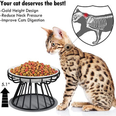 Double Ceramic Pet Bowls for Cats or Puppies