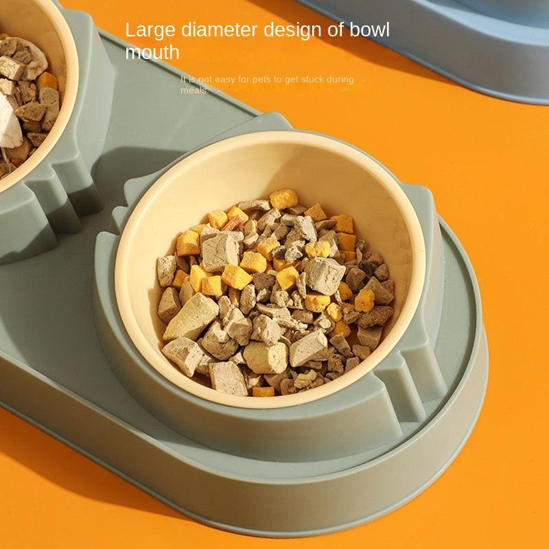 Double Bowl Pet Food Bowl with Anti Fall Design
