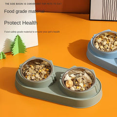Double Bowl Pet Food Bowl with Anti Fall Design