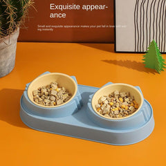 Double Bowl Pet Food Bowl with Anti Fall Design