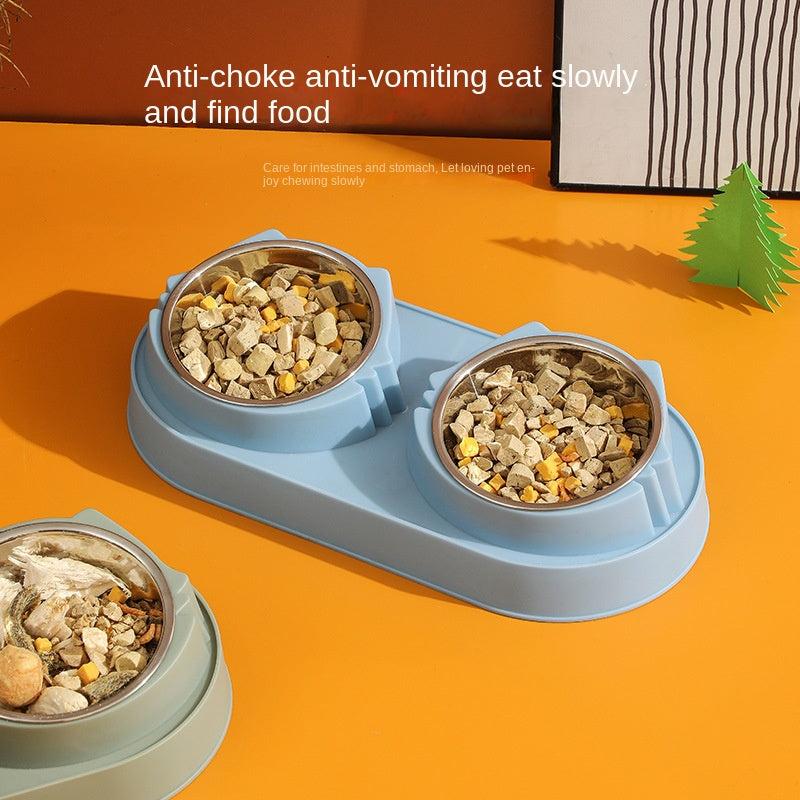 Double Bowl Pet Food Bowl with Anti Fall Design