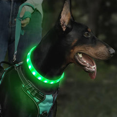JOYTALE LED Dog Collar Light Up USB Rechargeable Safety Necklace