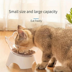 Transparent Raised Pet Bowl for Spine Protection