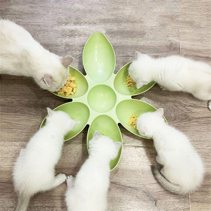 Functional Cat & Dog Food Bowl for Upgrade Pet Mealtime