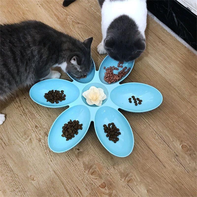 Functional Cat & Dog Food Bowl for Upgrade Pet Mealtime