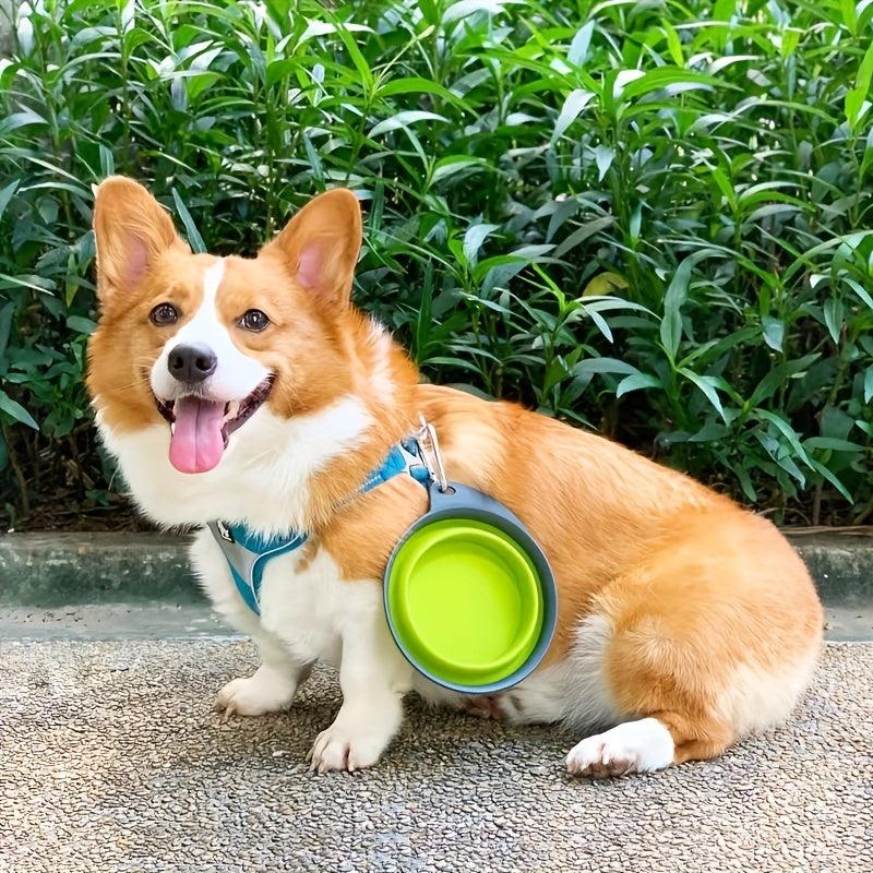Collapsible Silicone Dog Bowl for Outdoor Walking & Hiking