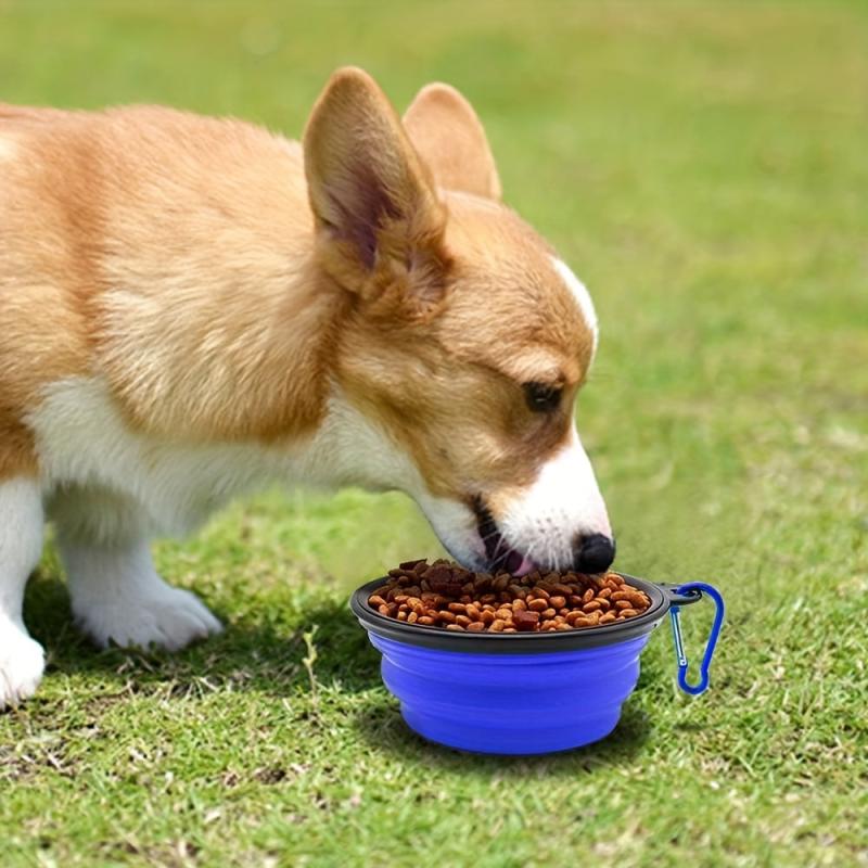 Collapsible Silicone Dog Bowl for Outdoor Walking & Hiking