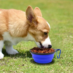 Collapsible Silicone Dog Bowl for Outdoor Walking & Hiking