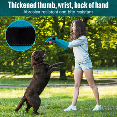 Durable Animal Handling Gloves Bite Resistant Anti-Scratch Training Gloves