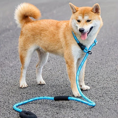 Reflective Nylon Dog Leash Padded Handle for All Dog Sizes