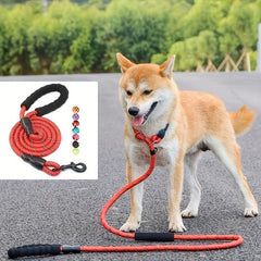 Reflective Nylon Dog Leash Padded Handle for All Dog Sizes