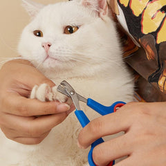 Professional Dog & Cat Nail Trimmer - Keep Your Pet's Nails Trimmed