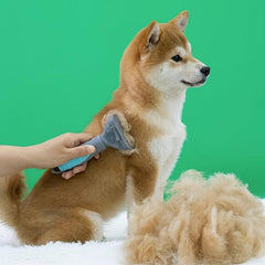 Pet Hair Removal Comb Undercoat Hair Removal Slicker Brush