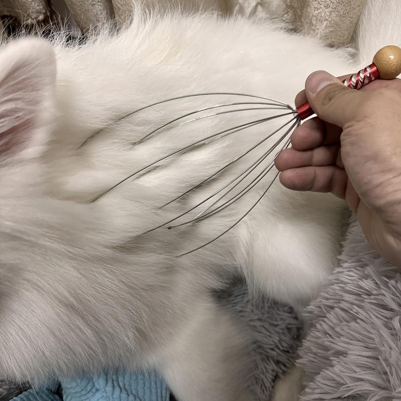 Pet Massage Claw Relaxes Furry Friend's Muscles