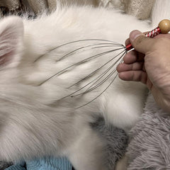 Pet Massage Claw Relaxes Furry Friend's Muscles