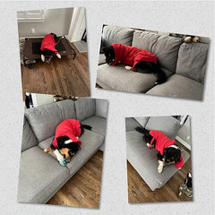 Microfiber Double Layer Pet Hooded Bath Towel
